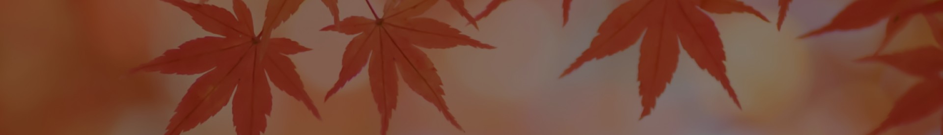 ブログイメージ